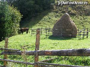 [P12]  -- <small>// FĂRĂ DESCRIERE</small> » foto by fregata
 - 
<span class="allrVoted glyphicon glyphicon-heart hidden" id="av587452"></span>
<a class="m-l-10 hidden" id="sv587452" onclick="voting_Foto_DelVot(,587452,13264)" role="button">șterge vot <span class="glyphicon glyphicon-remove"></span></a>
<a id="v9587452" class=" c-red"  onclick="voting_Foto_SetVot(587452)" role="button"><span class="glyphicon glyphicon-heart-empty"></span> <b>LIKE</b> = Votează poza</a> <img class="hidden"  id="f587452W9" src="/imagini/loader.gif" border="0" /><span class="AjErrMes hidden" id="e587452ErM"></span>