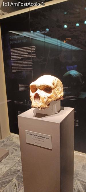 [P19] Craniul Omului din Petralona (copie). » foto by tata123 🔱
 - 
<span class="allrVoted glyphicon glyphicon-heart hidden" id="av1490164"></span>
<a class="m-l-10 hidden" id="sv1490164" onclick="voting_Foto_DelVot(,1490164,13427)" role="button">șterge vot <span class="glyphicon glyphicon-remove"></span></a>
<a id="v91490164" class=" c-red"  onclick="voting_Foto_SetVot(1490164)" role="button"><span class="glyphicon glyphicon-heart-empty"></span> <b>LIKE</b> = Votează poza</a> <img class="hidden"  id="f1490164W9" src="/imagini/loader.gif" border="0" /><span class="AjErrMes hidden" id="e1490164ErM"></span>