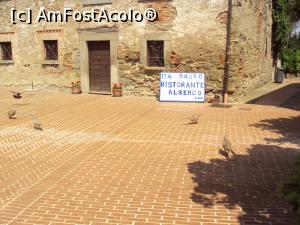 [P38] Isola Maggiore de pe Lacul Trasimene: fazani domesticiți?!!  » foto by Carmen Ion
 - 
<span class="allrVoted glyphicon glyphicon-heart hidden" id="av983478"></span>
<a class="m-l-10 hidden" id="sv983478" onclick="voting_Foto_DelVot(,983478,13517)" role="button">șterge vot <span class="glyphicon glyphicon-remove"></span></a>
<a id="v9983478" class=" c-red"  onclick="voting_Foto_SetVot(983478)" role="button"><span class="glyphicon glyphicon-heart-empty"></span> <b>LIKE</b> = Votează poza</a> <img class="hidden"  id="f983478W9" src="/imagini/loader.gif" border="0" /><span class="AjErrMes hidden" id="e983478ErM"></span>