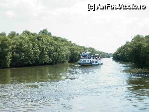 [P110] O altă întâlnire pe canalul navigabil, surprinsă în timpul croazierei în Delta Dunării, de la bordul navei ”Delta II” » foto by mariana.olaru
 - 
<span class="allrVoted glyphicon glyphicon-heart hidden" id="av400865"></span>
<a class="m-l-10 hidden" id="sv400865" onclick="voting_Foto_DelVot(,400865,13626)" role="button">șterge vot <span class="glyphicon glyphicon-remove"></span></a>
<a id="v9400865" class=" c-red"  onclick="voting_Foto_SetVot(400865)" role="button"><span class="glyphicon glyphicon-heart-empty"></span> <b>LIKE</b> = Votează poza</a> <img class="hidden"  id="f400865W9" src="/imagini/loader.gif" border="0" /><span class="AjErrMes hidden" id="e400865ErM"></span>