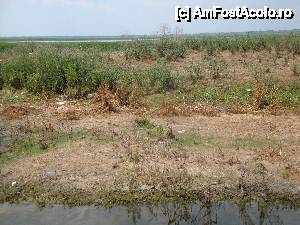 [P117] Din peisajul ”necizelat” al Deltei Dunării: imagine surprinsă în timpul croazierei în Delta Dunării, de la bordul navei ”Delta II” » foto by mariana.olaru
 - 
<span class="allrVoted glyphicon glyphicon-heart hidden" id="av400872"></span>
<a class="m-l-10 hidden" id="sv400872" onclick="voting_Foto_DelVot(,400872,13626)" role="button">șterge vot <span class="glyphicon glyphicon-remove"></span></a>
<a id="v9400872" class=" c-red"  onclick="voting_Foto_SetVot(400872)" role="button"><span class="glyphicon glyphicon-heart-empty"></span> <b>LIKE</b> = Votează poza</a> <img class="hidden"  id="f400872W9" src="/imagini/loader.gif" border="0" /><span class="AjErrMes hidden" id="e400872ErM"></span>