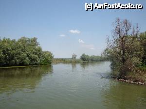 P45 [JUN-2012] Peisaj surprins în timpul croazierei în Delta Dunării, de la bordul navei ”Delta II”