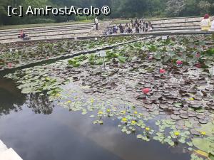 [P60] Iazul cu nuferi albi, galbeni și lotuși roz. Și pești colorați » foto by Zoazore
 - 
<span class="allrVoted glyphicon glyphicon-heart hidden" id="av1532506"></span>
<a class="m-l-10 hidden" id="sv1532506" onclick="voting_Foto_DelVot(,1532506,13735)" role="button">șterge vot <span class="glyphicon glyphicon-remove"></span></a>
<a id="v91532506" class=" c-red"  onclick="voting_Foto_SetVot(1532506)" role="button"><span class="glyphicon glyphicon-heart-empty"></span> <b>LIKE</b> = Votează poza</a> <img class="hidden"  id="f1532506W9" src="/imagini/loader.gif" border="0" /><span class="AjErrMes hidden" id="e1532506ErM"></span>