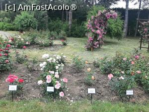 [P65] Prin Rosarium » foto by Zoazore
 - 
<span class="allrVoted glyphicon glyphicon-heart hidden" id="av1532511"></span>
<a class="m-l-10 hidden" id="sv1532511" onclick="voting_Foto_DelVot(,1532511,13735)" role="button">șterge vot <span class="glyphicon glyphicon-remove"></span></a>
<a id="v91532511" class=" c-red"  onclick="voting_Foto_SetVot(1532511)" role="button"><span class="glyphicon glyphicon-heart-empty"></span> <b>LIKE</b> = Votează poza</a> <img class="hidden"  id="f1532511W9" src="/imagini/loader.gif" border="0" /><span class="AjErrMes hidden" id="e1532511ErM"></span>