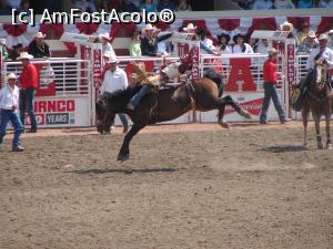 [P01] Calgary Stampede rodeo » foto by ebirsan
 - 
<span class="allrVoted glyphicon glyphicon-heart hidden" id="av739644"></span>
<a class="m-l-10 hidden" id="sv739644" onclick="voting_Foto_DelVot(,739644,13751)" role="button">șterge vot <span class="glyphicon glyphicon-remove"></span></a>
<a id="v9739644" class=" c-red"  onclick="voting_Foto_SetVot(739644)" role="button"><span class="glyphicon glyphicon-heart-empty"></span> <b>LIKE</b> = Votează poza</a> <img class="hidden"  id="f739644W9" src="/imagini/loader.gif" border="0" /><span class="AjErrMes hidden" id="e739644ErM"></span>