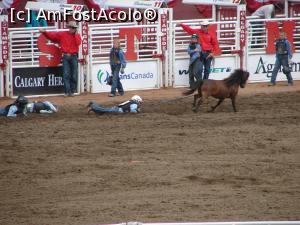 [P14] Calgary Stampede rodeo - cea mai amuzantă probă (echipe de copii care trebuie să prindă și să imobilizeze un ponei)  » foto by ebirsan
 - 
<span class="allrVoted glyphicon glyphicon-heart hidden" id="av739657"></span>
<a class="m-l-10 hidden" id="sv739657" onclick="voting_Foto_DelVot(,739657,13751)" role="button">șterge vot <span class="glyphicon glyphicon-remove"></span></a>
<a id="v9739657" class=" c-red"  onclick="voting_Foto_SetVot(739657)" role="button"><span class="glyphicon glyphicon-heart-empty"></span> <b>LIKE</b> = Votează poza</a> <img class="hidden"  id="f739657W9" src="/imagini/loader.gif" border="0" /><span class="AjErrMes hidden" id="e739657ErM"></span>