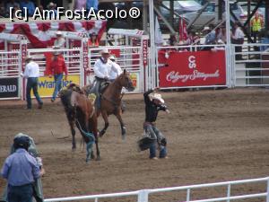 [P08] Calgary Stampede rodeo » foto by ebirsan
 - 
<span class="allrVoted glyphicon glyphicon-heart hidden" id="av739651"></span>
<a class="m-l-10 hidden" id="sv739651" onclick="voting_Foto_DelVot(,739651,13751)" role="button">șterge vot <span class="glyphicon glyphicon-remove"></span></a>
<a id="v9739651" class=" c-red"  onclick="voting_Foto_SetVot(739651)" role="button"><span class="glyphicon glyphicon-heart-empty"></span> <b>LIKE</b> = Votează poza</a> <img class="hidden"  id="f739651W9" src="/imagini/loader.gif" border="0" /><span class="AjErrMes hidden" id="e739651ErM"></span>