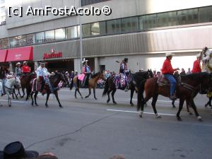 [P01] Stampede Parade - defilarea triburilor de indieni (native population)  » foto by ebirsan
 - 
<span class="allrVoted glyphicon glyphicon-heart hidden" id="av742677"></span>
<a class="m-l-10 hidden" id="sv742677" onclick="voting_Foto_DelVot(,742677,13751)" role="button">șterge vot <span class="glyphicon glyphicon-remove"></span></a>
<a id="v9742677" class=" c-red"  onclick="voting_Foto_SetVot(742677)" role="button"><span class="glyphicon glyphicon-heart-empty"></span> <b>LIKE</b> = Votează poza</a> <img class="hidden"  id="f742677W9" src="/imagini/loader.gif" border="0" /><span class="AjErrMes hidden" id="e742677ErM"></span>