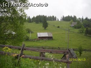 [P11]  -- <small>// FĂRĂ DESCRIERE</small> » foto by puiutea
 - 
<span class="allrVoted glyphicon glyphicon-heart hidden" id="av751917"></span>
<a class="m-l-10 hidden" id="sv751917" onclick="voting_Foto_DelVot(,751917,13782)" role="button">șterge vot <span class="glyphicon glyphicon-remove"></span></a>
<a id="v9751917" class=" c-red"  onclick="voting_Foto_SetVot(751917)" role="button"><span class="glyphicon glyphicon-heart-empty"></span> <b>LIKE</b> = Votează poza</a> <img class="hidden"  id="f751917W9" src="/imagini/loader.gif" border="0" /><span class="AjErrMes hidden" id="e751917ErM"></span>