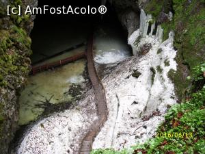 [P20] Aproape de intrare - din ce în ce mai frig!  » foto by puiutea
 - 
<span class="allrVoted glyphicon glyphicon-heart hidden" id="av751926"></span>
<a class="m-l-10 hidden" id="sv751926" onclick="voting_Foto_DelVot(,751926,13782)" role="button">șterge vot <span class="glyphicon glyphicon-remove"></span></a>
<a id="v9751926" class=" c-red"  onclick="voting_Foto_SetVot(751926)" role="button"><span class="glyphicon glyphicon-heart-empty"></span> <b>LIKE</b> = Votează poza</a> <img class="hidden"  id="f751926W9" src="/imagini/loader.gif" border="0" /><span class="AjErrMes hidden" id="e751926ErM"></span>