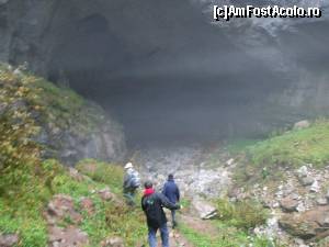 [P03]  -- <small>// FĂRĂ DESCRIERE</small> » foto by gabi82*
 - 
<span class="allrVoted glyphicon glyphicon-heart hidden" id="av570997"></span>
<a class="m-l-10 hidden" id="sv570997" onclick="voting_Foto_DelVot(,570997,13782)" role="button">șterge vot <span class="glyphicon glyphicon-remove"></span></a>
<a id="v9570997" class=" c-red"  onclick="voting_Foto_SetVot(570997)" role="button"><span class="glyphicon glyphicon-heart-empty"></span> <b>LIKE</b> = Votează poza</a> <img class="hidden"  id="f570997W9" src="/imagini/loader.gif" border="0" /><span class="AjErrMes hidden" id="e570997ErM"></span>