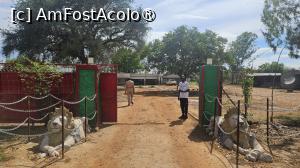 [P07] am ajuns la regat » foto by robert
 - 
<span class="allrVoted glyphicon glyphicon-heart hidden" id="av1512051"></span>
<a class="m-l-10 hidden" id="sv1512051" onclick="voting_Foto_DelVot(,1512051,13820)" role="button">șterge vot <span class="glyphicon glyphicon-remove"></span></a>
<a id="v91512051" class=" c-red"  onclick="voting_Foto_SetVot(1512051)" role="button"><span class="glyphicon glyphicon-heart-empty"></span> <b>LIKE</b> = Votează poza</a> <img class="hidden"  id="f1512051W9" src="/imagini/loader.gif" border="0" /><span class="AjErrMes hidden" id="e1512051ErM"></span>