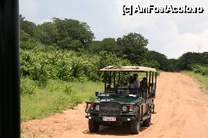 [P17] safari in Chobe - Botswana » foto by christian26ro
 - 
<span class="allrVoted glyphicon glyphicon-heart hidden" id="av409042"></span>
<a class="m-l-10 hidden" id="sv409042" onclick="voting_Foto_DelVot(,409042,13820)" role="button">șterge vot <span class="glyphicon glyphicon-remove"></span></a>
<a id="v9409042" class=" c-red"  onclick="voting_Foto_SetVot(409042)" role="button"><span class="glyphicon glyphicon-heart-empty"></span> <b>LIKE</b> = Votează poza</a> <img class="hidden"  id="f409042W9" src="/imagini/loader.gif" border="0" /><span class="AjErrMes hidden" id="e409042ErM"></span>