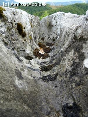 [P07] Lapiez - dantelă &icirc;n piatră. » foto by tata123 🔱
 - 
<span class="allrVoted glyphicon glyphicon-heart hidden" id="av1201861"></span>
<a class="m-l-10 hidden" id="sv1201861" onclick="voting_Foto_DelVot(,1201861,13826)" role="button">șterge vot <span class="glyphicon glyphicon-remove"></span></a>
<a id="v91201861" class=" c-red"  onclick="voting_Foto_SetVot(1201861)" role="button"><span class="glyphicon glyphicon-heart-empty"></span> <b>LIKE</b> = Votează poza</a> <img class="hidden"  id="f1201861W9" src="/imagini/loader.gif" border="0" /><span class="AjErrMes hidden" id="e1201861ErM"></span>