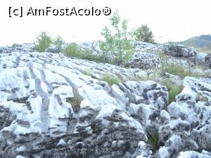 [P15] Dantelă în piatră - câmpurile de lapiezuri de la Ponoarele.  » foto by tata123 🔱
 - 
<span class="allrVoted glyphicon glyphicon-heart hidden" id="av1156405"></span>
<a class="m-l-10 hidden" id="sv1156405" onclick="voting_Foto_DelVot(,1156405,13826)" role="button">șterge vot <span class="glyphicon glyphicon-remove"></span></a>
<a id="v91156405" class=" c-red"  onclick="voting_Foto_SetVot(1156405)" role="button"><span class="glyphicon glyphicon-heart-empty"></span> <b>LIKE</b> = Votează poza</a> <img class="hidden"  id="f1156405W9" src="/imagini/loader.gif" border="0" /><span class="AjErrMes hidden" id="e1156405ErM"></span>
