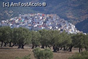 [P01] Orasul Moulay Idriss, vazut de jos, dinspre Volubilis. In imagine se vede o" padure" de maslini.  » foto by Dorina9
 - 
<span class="allrVoted glyphicon glyphicon-heart hidden" id="av1146449"></span>
<a class="m-l-10 hidden" id="sv1146449" onclick="voting_Foto_DelVot(,1146449,13898)" role="button">șterge vot <span class="glyphicon glyphicon-remove"></span></a>
<a id="v91146449" class=" c-red"  onclick="voting_Foto_SetVot(1146449)" role="button"><span class="glyphicon glyphicon-heart-empty"></span> <b>LIKE</b> = Votează poza</a> <img class="hidden"  id="f1146449W9" src="/imagini/loader.gif" border="0" /><span class="AjErrMes hidden" id="e1146449ErM"></span>