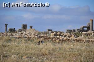 [P06] Volubilis, vazut de la Moulay Idriss » foto by Dorina9
 - 
<span class="allrVoted glyphicon glyphicon-heart hidden" id="av1146458"></span>
<a class="m-l-10 hidden" id="sv1146458" onclick="voting_Foto_DelVot(,1146458,13898)" role="button">șterge vot <span class="glyphicon glyphicon-remove"></span></a>
<a id="v91146458" class=" c-red"  onclick="voting_Foto_SetVot(1146458)" role="button"><span class="glyphicon glyphicon-heart-empty"></span> <b>LIKE</b> = Votează poza</a> <img class="hidden"  id="f1146458W9" src="/imagini/loader.gif" border="0" /><span class="AjErrMes hidden" id="e1146458ErM"></span>