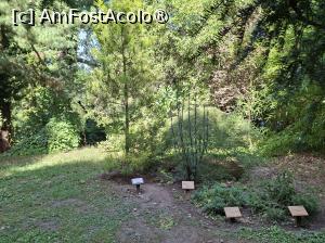 [P06] Parcul dendrologic (Arboretum) din Simeria » foto by Carmen Ion
 - 
<span class="allrVoted glyphicon glyphicon-heart hidden" id="av1511405"></span>
<a class="m-l-10 hidden" id="sv1511405" onclick="voting_Foto_DelVot(,1511405,13964)" role="button">șterge vot <span class="glyphicon glyphicon-remove"></span></a>
<a id="v91511405" class=" c-red"  onclick="voting_Foto_SetVot(1511405)" role="button"><span class="glyphicon glyphicon-heart-empty"></span> <b>LIKE</b> = Votează poza</a> <img class="hidden"  id="f1511405W9" src="/imagini/loader.gif" border="0" /><span class="AjErrMes hidden" id="e1511405ErM"></span>