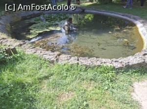 [P09] Parcul dendrologic (Arboretum) din Simeria » foto by Carmen Ion
 - 
<span class="allrVoted glyphicon glyphicon-heart hidden" id="av1511408"></span>
<a class="m-l-10 hidden" id="sv1511408" onclick="voting_Foto_DelVot(,1511408,13964)" role="button">șterge vot <span class="glyphicon glyphicon-remove"></span></a>
<a id="v91511408" class=" c-red"  onclick="voting_Foto_SetVot(1511408)" role="button"><span class="glyphicon glyphicon-heart-empty"></span> <b>LIKE</b> = Votează poza</a> <img class="hidden"  id="f1511408W9" src="/imagini/loader.gif" border="0" /><span class="AjErrMes hidden" id="e1511408ErM"></span>