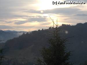 [P01]  -- <small>// FĂRĂ DESCRIERE</small> » foto by ENE IOANA
 - 
<span class="allrVoted glyphicon glyphicon-heart hidden" id="av552221"></span>
<a class="m-l-10 hidden" id="sv552221" onclick="voting_Foto_DelVot(,552221,14116)" role="button">șterge vot <span class="glyphicon glyphicon-remove"></span></a>
<a id="v9552221" class=" c-red"  onclick="voting_Foto_SetVot(552221)" role="button"><span class="glyphicon glyphicon-heart-empty"></span> <b>LIKE</b> = Votează poza</a> <img class="hidden"  id="f552221W9" src="/imagini/loader.gif" border="0" /><span class="AjErrMes hidden" id="e552221ErM"></span>