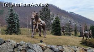 [P05] Poiana lui Căliman » foto by vlado2
 - 
<span class="allrVoted glyphicon glyphicon-heart hidden" id="av1523698"></span>
<a class="m-l-10 hidden" id="sv1523698" onclick="voting_Foto_DelVot(,1523698,14154)" role="button">șterge vot <span class="glyphicon glyphicon-remove"></span></a>
<a id="v91523698" class=" c-red"  onclick="voting_Foto_SetVot(1523698)" role="button"><span class="glyphicon glyphicon-heart-empty"></span> <b>LIKE</b> = Votează poza</a> <img class="hidden"  id="f1523698W9" src="/imagini/loader.gif" border="0" /><span class="AjErrMes hidden" id="e1523698ErM"></span>