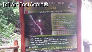 [P02] info la cascada » foto by Chloe
 - 
<span class="allrVoted glyphicon glyphicon-heart hidden" id="av810048"></span>
<a class="m-l-10 hidden" id="sv810048" onclick="voting_Foto_DelVot(,810048,14154)" role="button">șterge vot <span class="glyphicon glyphicon-remove"></span></a>
<a id="v9810048" class=" c-red"  onclick="voting_Foto_SetVot(810048)" role="button"><span class="glyphicon glyphicon-heart-empty"></span> <b>LIKE</b> = Votează poza</a> <img class="hidden"  id="f810048W9" src="/imagini/loader.gif" border="0" /><span class="AjErrMes hidden" id="e810048ErM"></span>