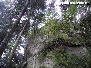 [P05] Cãciulata – Staţiune deloc sau foarte puţin promovatã. Mergem in Cheile Bistritei dupa vizitarea Manastirii Bistrita. Natura spectaculoasa.  » foto by vega06
 - 
<span class="allrVoted glyphicon glyphicon-heart hidden" id="av604975"></span>
<a class="m-l-10 hidden" id="sv604975" onclick="voting_Foto_DelVot(,604975,14154)" role="button">șterge vot <span class="glyphicon glyphicon-remove"></span></a>
<a id="v9604975" class=" c-red"  onclick="voting_Foto_SetVot(604975)" role="button"><span class="glyphicon glyphicon-heart-empty"></span> <b>LIKE</b> = Votează poza</a> <img class="hidden"  id="f604975W9" src="/imagini/loader.gif" border="0" /><span class="AjErrMes hidden" id="e604975ErM"></span>