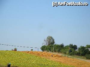 [P86] Mănăstirea Zosin: drumul de la șosea la mănăstire trece pe lângă un frumos câmp cultivat la vremea vizitei noastre cu floarea soarelui » foto by mariana.olaru
 - 
<span class="allrVoted glyphicon glyphicon-heart hidden" id="av421178"></span>
<a class="m-l-10 hidden" id="sv421178" onclick="voting_Foto_DelVot(,421178,14160)" role="button">șterge vot <span class="glyphicon glyphicon-remove"></span></a>
<a id="v9421178" class=" c-red"  onclick="voting_Foto_SetVot(421178)" role="button"><span class="glyphicon glyphicon-heart-empty"></span> <b>LIKE</b> = Votează poza</a> <img class="hidden"  id="f421178W9" src="/imagini/loader.gif" border="0" /><span class="AjErrMes hidden" id="e421178ErM"></span>