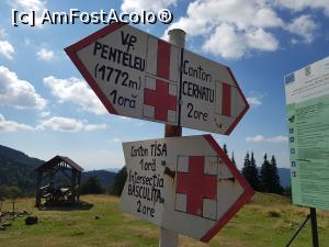 [P16] Indicator aflat în golul alpin. Intersecție de trasee lângă un loc de popas amenajat. » foto by Floryn81
 - 
<span class="allrVoted glyphicon glyphicon-heart hidden" id="av1195369"></span>
<a class="m-l-10 hidden" id="sv1195369" onclick="voting_Foto_DelVot(,1195369,14170)" role="button">șterge vot <span class="glyphicon glyphicon-remove"></span></a>
<a id="v91195369" class=" c-red"  onclick="voting_Foto_SetVot(1195369)" role="button"><span class="glyphicon glyphicon-heart-empty"></span> <b>LIKE</b> = Votează poza</a> <img class="hidden"  id="f1195369W9" src="/imagini/loader.gif" border="0" /><span class="AjErrMes hidden" id="e1195369ErM"></span>