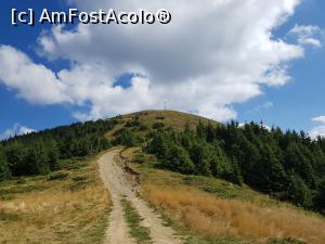 [P24] Tot mai aproape de Vârful Penteleu (văzut aici de lângă stația meteorologică). Mai aveam de abordat o ultimă porțiune mai abruptă. » foto by Floryn81
 - 
<span class="allrVoted glyphicon glyphicon-heart hidden" id="av1195377"></span>
<a class="m-l-10 hidden" id="sv1195377" onclick="voting_Foto_DelVot(,1195377,14170)" role="button">șterge vot <span class="glyphicon glyphicon-remove"></span></a>
<a id="v91195377" class=" c-red"  onclick="voting_Foto_SetVot(1195377)" role="button"><span class="glyphicon glyphicon-heart-empty"></span> <b>LIKE</b> = Votează poza</a> <img class="hidden"  id="f1195377W9" src="/imagini/loader.gif" border="0" /><span class="AjErrMes hidden" id="e1195377ErM"></span>