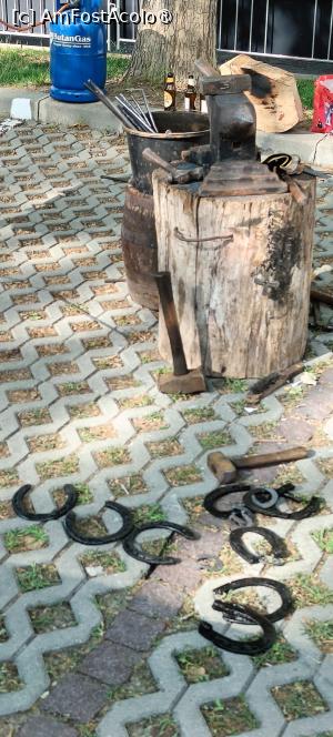 [P07] Artă din fier. » foto by tata123 🔱
 - 
<span class="allrVoted glyphicon glyphicon-heart hidden" id="av1487631"></span>
<a class="m-l-10 hidden" id="sv1487631" onclick="voting_Foto_DelVot(,1487631,14175)" role="button">șterge vot <span class="glyphicon glyphicon-remove"></span></a>
<a id="v91487631" class=" c-red"  onclick="voting_Foto_SetVot(1487631)" role="button"><span class="glyphicon glyphicon-heart-empty"></span> <b>LIKE</b> = Votează poza</a> <img class="hidden"  id="f1487631W9" src="/imagini/loader.gif" border="0" /><span class="AjErrMes hidden" id="e1487631ErM"></span>
