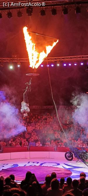 [P16] Evadare spectaculoasă - în plină acțiune. » foto by tata123 🔱
 - 
<span class="allrVoted glyphicon glyphicon-heart hidden" id="av1516964"></span>
<a class="m-l-10 hidden" id="sv1516964" onclick="voting_Foto_DelVot(,1516964,14175)" role="button">șterge vot <span class="glyphicon glyphicon-remove"></span></a>
<a id="v91516964" class=" c-red"  onclick="voting_Foto_SetVot(1516964)" role="button"><span class="glyphicon glyphicon-heart-empty"></span> <b>LIKE</b> = Votează poza</a> <img class="hidden"  id="f1516964W9" src="/imagini/loader.gif" border="0" /><span class="AjErrMes hidden" id="e1516964ErM"></span>