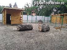 [P06] Zoo Oradea - ţarcul căpriorilor europeni.  » foto by creivean
 - 
<span class="allrVoted glyphicon glyphicon-heart hidden" id="av422795"></span>
<a class="m-l-10 hidden" id="sv422795" onclick="voting_Foto_DelVot(,422795,14194)" role="button">șterge vot <span class="glyphicon glyphicon-remove"></span></a>
<a id="v9422795" class=" c-red"  onclick="voting_Foto_SetVot(422795)" role="button"><span class="glyphicon glyphicon-heart-empty"></span> <b>LIKE</b> = Votează poza</a> <img class="hidden"  id="f422795W9" src="/imagini/loader.gif" border="0" /><span class="AjErrMes hidden" id="e422795ErM"></span>