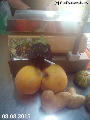 [P26] Un magazin de legume fructe de lângă Preveza își prezintă marfa. Haios!  » foto by ovidiuyepi
 - 
<span class="allrVoted glyphicon glyphicon-heart hidden" id="av674730"></span>
<a class="m-l-10 hidden" id="sv674730" onclick="voting_Foto_DelVot(,674730,14195)" role="button">șterge vot <span class="glyphicon glyphicon-remove"></span></a>
<a id="v9674730" class=" c-red"  onclick="voting_Foto_SetVot(674730)" role="button"><span class="glyphicon glyphicon-heart-empty"></span> <b>LIKE</b> = Votează poza</a> <img class="hidden"  id="f674730W9" src="/imagini/loader.gif" border="0" /><span class="AjErrMes hidden" id="e674730ErM"></span>