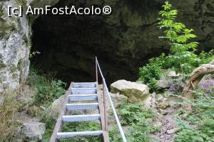 [P28] Cheile Vârghișului, Am urcat la Peștera Merești » foto by mprofeanu
 - 
<span class="allrVoted glyphicon glyphicon-heart hidden" id="av1376698"></span>
<a class="m-l-10 hidden" id="sv1376698" onclick="voting_Foto_DelVot(,1376698,14212)" role="button">șterge vot <span class="glyphicon glyphicon-remove"></span></a>
<a id="v91376698" class=" c-red"  onclick="voting_Foto_SetVot(1376698)" role="button"><span class="glyphicon glyphicon-heart-empty"></span> <b>LIKE</b> = Votează poza</a> <img class="hidden"  id="f1376698W9" src="/imagini/loader.gif" border="0" /><span class="AjErrMes hidden" id="e1376698ErM"></span>