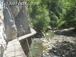 P07 [AUG-2017] Un pod in 'zig-zag' prin Valea Varghisului