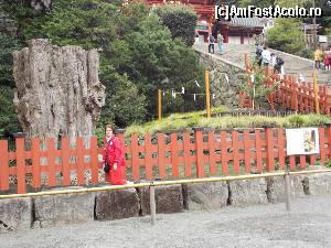 [P12] Kamakura, Templul Tsurugaoka Hachiman-gu, bătrânul ginkgo, în plan îndepartat se văd scările de acces și tânărul ginkgo » foto by mprofeanu
 - 
<span class="allrVoted glyphicon glyphicon-heart hidden" id="av686023"></span>
<a class="m-l-10 hidden" id="sv686023" onclick="voting_Foto_DelVot(,686023,14224)" role="button">șterge vot <span class="glyphicon glyphicon-remove"></span></a>
<a id="v9686023" class=" c-red"  onclick="voting_Foto_SetVot(686023)" role="button"><span class="glyphicon glyphicon-heart-empty"></span> <b>LIKE</b> = Votează poza</a> <img class="hidden"  id="f686023W9" src="/imagini/loader.gif" border="0" /><span class="AjErrMes hidden" id="e686023ErM"></span>