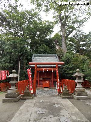 [P67] Kamakura, Templul Tsurugaoka Hachiman-gu, Altarul Maruyama Inari » foto by mprofeanu
 - 
<span class="allrVoted glyphicon glyphicon-heart hidden" id="av686123"></span>
<a class="m-l-10 hidden" id="sv686123" onclick="voting_Foto_DelVot(,686123,14224)" role="button">șterge vot <span class="glyphicon glyphicon-remove"></span></a>
<a id="v9686123" class=" c-red"  onclick="voting_Foto_SetVot(686123)" role="button"><span class="glyphicon glyphicon-heart-empty"></span> <b>LIKE</b> = Votează poza</a> <img class="hidden"  id="f686123W9" src="/imagini/loader.gif" border="0" /><span class="AjErrMes hidden" id="e686123ErM"></span>