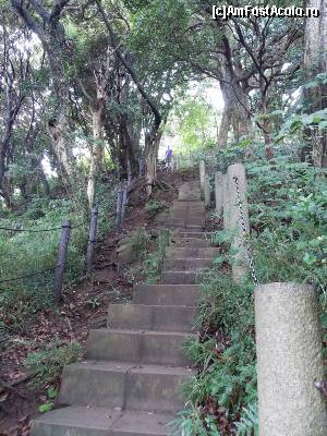 [P93] Kamakura, coborând de la Shojoken Observator spre Templul Kencho-ji » foto by mprofeanu
 - 
<span class="allrVoted glyphicon glyphicon-heart hidden" id="av686149"></span>
<a class="m-l-10 hidden" id="sv686149" onclick="voting_Foto_DelVot(,686149,14224)" role="button">șterge vot <span class="glyphicon glyphicon-remove"></span></a>
<a id="v9686149" class=" c-red"  onclick="voting_Foto_SetVot(686149)" role="button"><span class="glyphicon glyphicon-heart-empty"></span> <b>LIKE</b> = Votează poza</a> <img class="hidden"  id="f686149W9" src="/imagini/loader.gif" border="0" /><span class="AjErrMes hidden" id="e686149ErM"></span>