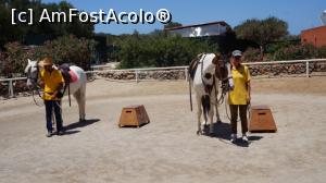 [P43] IN ASTEPTAREA CELUI DE-AL 3 LEA CALUT » foto by adutza_ghiocel
 - 
<span class="allrVoted glyphicon glyphicon-heart hidden" id="av756885"></span>
<a class="m-l-10 hidden" id="sv756885" onclick="voting_Foto_DelVot(,756885,14327)" role="button">șterge vot <span class="glyphicon glyphicon-remove"></span></a>
<a id="v9756885" class=" c-red"  onclick="voting_Foto_SetVot(756885)" role="button"><span class="glyphicon glyphicon-heart-empty"></span> <b>LIKE</b> = Votează poza</a> <img class="hidden"  id="f756885W9" src="/imagini/loader.gif" border="0" /><span class="AjErrMes hidden" id="e756885ErM"></span>