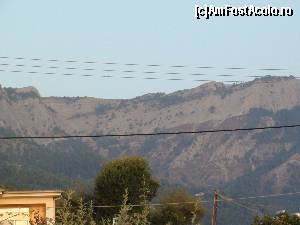 [P26] muntele de pe insula thassos » foto by Dan&Ema
 - 
<span class="allrVoted glyphicon glyphicon-heart hidden" id="av670864"></span>
<a class="m-l-10 hidden" id="sv670864" onclick="voting_Foto_DelVot(,670864,14421)" role="button">șterge vot <span class="glyphicon glyphicon-remove"></span></a>
<a id="v9670864" class=" c-red"  onclick="voting_Foto_SetVot(670864)" role="button"><span class="glyphicon glyphicon-heart-empty"></span> <b>LIKE</b> = Votează poza</a> <img class="hidden"  id="f670864W9" src="/imagini/loader.gif" border="0" /><span class="AjErrMes hidden" id="e670864ErM"></span>