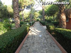 [P15] Alee din gradina » foto by nely
 - 
<span class="allrVoted glyphicon glyphicon-heart hidden" id="av448456"></span>
<a class="m-l-10 hidden" id="sv448456" onclick="voting_Foto_DelVot(,448456,14672)" role="button">șterge vot <span class="glyphicon glyphicon-remove"></span></a>
<a id="v9448456" class=" c-red"  onclick="voting_Foto_SetVot(448456)" role="button"><span class="glyphicon glyphicon-heart-empty"></span> <b>LIKE</b> = Votează poza</a> <img class="hidden"  id="f448456W9" src="/imagini/loader.gif" border="0" /><span class="AjErrMes hidden" id="e448456ErM"></span>