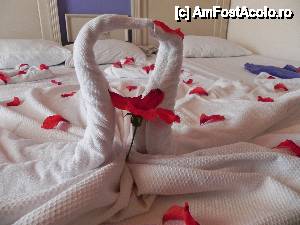 [P27]  -- <small>// FĂRĂ DESCRIERE</small> » foto by nely
 - 
<span class="allrVoted glyphicon glyphicon-heart hidden" id="av448506"></span>
<a class="m-l-10 hidden" id="sv448506" onclick="voting_Foto_DelVot(,448506,14672)" role="button">șterge vot <span class="glyphicon glyphicon-remove"></span></a>
<a id="v9448506" class=" c-red"  onclick="voting_Foto_SetVot(448506)" role="button"><span class="glyphicon glyphicon-heart-empty"></span> <b>LIKE</b> = Votează poza</a> <img class="hidden"  id="f448506W9" src="/imagini/loader.gif" border="0" /><span class="AjErrMes hidden" id="e448506ErM"></span>