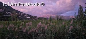 [P02] Vasiliki, ce nu se fotografiaza de obicei » foto by fatdaddy
 - 
<span class="allrVoted glyphicon glyphicon-heart hidden" id="av1506704"></span>
<a class="m-l-10 hidden" id="sv1506704" onclick="voting_Foto_DelVot(,1506704,14691)" role="button">șterge vot <span class="glyphicon glyphicon-remove"></span></a>
<a id="v91506704" class=" c-red"  onclick="voting_Foto_SetVot(1506704)" role="button"><span class="glyphicon glyphicon-heart-empty"></span> <b>LIKE</b> = Votează poza</a> <img class="hidden"  id="f1506704W9" src="/imagini/loader.gif" border="0" /><span class="AjErrMes hidden" id="e1506704ErM"></span>