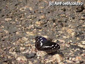 [P07]  -- <small>// FĂRĂ DESCRIERE</small> » foto by baby eyes
 - 
<span class="allrVoted glyphicon glyphicon-heart hidden" id="av444871"></span>
<a class="m-l-10 hidden" id="sv444871" onclick="voting_Foto_DelVot(,444871,14749)" role="button">șterge vot <span class="glyphicon glyphicon-remove"></span></a>
<a id="v9444871" class=" c-red"  onclick="voting_Foto_SetVot(444871)" role="button"><span class="glyphicon glyphicon-heart-empty"></span> <b>LIKE</b> = Votează poza</a> <img class="hidden"  id="f444871W9" src="/imagini/loader.gif" border="0" /><span class="AjErrMes hidden" id="e444871ErM"></span>