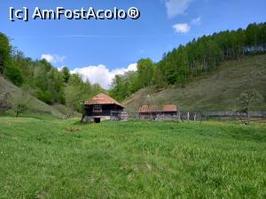 [P54] Fundătura Ponorului » foto by Mika
 - 
<span class="allrVoted glyphicon glyphicon-heart hidden" id="av1299280"></span>
<a class="m-l-10 hidden" id="sv1299280" onclick="voting_Foto_DelVot(,1299280,14749)" role="button">șterge vot <span class="glyphicon glyphicon-remove"></span></a>
<a id="v91299280" class=" c-red"  onclick="voting_Foto_SetVot(1299280)" role="button"><span class="glyphicon glyphicon-heart-empty"></span> <b>LIKE</b> = Votează poza</a> <img class="hidden"  id="f1299280W9" src="/imagini/loader.gif" border="0" /><span class="AjErrMes hidden" id="e1299280ErM"></span>