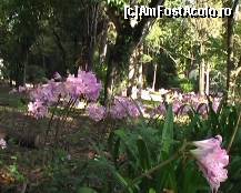 [P04] In parc... ca-n padure » foto by bubumaia
 - 
<span class="allrVoted glyphicon glyphicon-heart hidden" id="av148246"></span>
<a class="m-l-10 hidden" id="sv148246" onclick="voting_Foto_DelVot(,148246,14751)" role="button">șterge vot <span class="glyphicon glyphicon-remove"></span></a>
<a id="v9148246" class=" c-red"  onclick="voting_Foto_SetVot(148246)" role="button"><span class="glyphicon glyphicon-heart-empty"></span> <b>LIKE</b> = Votează poza</a> <img class="hidden"  id="f148246W9" src="/imagini/loader.gif" border="0" /><span class="AjErrMes hidden" id="e148246ErM"></span>