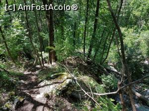 [P22] Coboram cu atenție, cu ochii după vipere. Mă gândeam din când în când și la vreun urs, nu-mi doream să ne întâlnim! :)  » foto by Floryn81
 - 
<span class="allrVoted glyphicon glyphicon-heart hidden" id="av1108599"></span>
<a class="m-l-10 hidden" id="sv1108599" onclick="voting_Foto_DelVot(,1108599,14820)" role="button">șterge vot <span class="glyphicon glyphicon-remove"></span></a>
<a id="v91108599" class=" c-red"  onclick="voting_Foto_SetVot(1108599)" role="button"><span class="glyphicon glyphicon-heart-empty"></span> <b>LIKE</b> = Votează poza</a> <img class="hidden"  id="f1108599W9" src="/imagini/loader.gif" border="0" /><span class="AjErrMes hidden" id="e1108599ErM"></span>