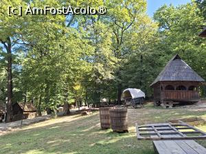 [P11] La plimbare prin muzeu » foto by Carmen Ion
 - 
<span class="allrVoted glyphicon glyphicon-heart hidden" id="av1512846"></span>
<a class="m-l-10 hidden" id="sv1512846" onclick="voting_Foto_DelVot(,1512846,14876)" role="button">șterge vot <span class="glyphicon glyphicon-remove"></span></a>
<a id="v91512846" class=" c-red"  onclick="voting_Foto_SetVot(1512846)" role="button"><span class="glyphicon glyphicon-heart-empty"></span> <b>LIKE</b> = Votează poza</a> <img class="hidden"  id="f1512846W9" src="/imagini/loader.gif" border="0" /><span class="AjErrMes hidden" id="e1512846ErM"></span>