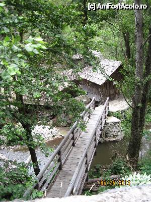 [P01] Aceasta este una dintre morile din localitatea Eftimie Murgu » foto by paulsnaider
 - 
<span class="allrVoted glyphicon glyphicon-heart hidden" id="av513780"></span>
<a class="m-l-10 hidden" id="sv513780" onclick="voting_Foto_DelVot(,513780,15101)" role="button">șterge vot <span class="glyphicon glyphicon-remove"></span></a>
<a id="v9513780" class=" c-red"  onclick="voting_Foto_SetVot(513780)" role="button"><span class="glyphicon glyphicon-heart-empty"></span> <b>LIKE</b> = Votează poza</a> <img class="hidden"  id="f513780W9" src="/imagini/loader.gif" border="0" /><span class="AjErrMes hidden" id="e513780ErM"></span>